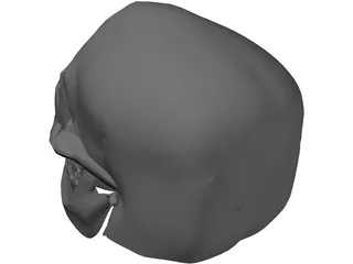 Skull Hell 3D Model