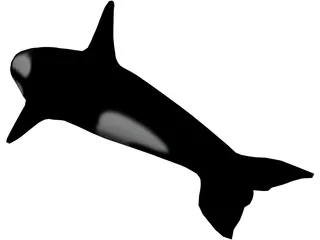 Orca 3D Model