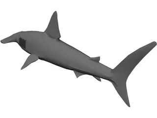 Shark 3D Model