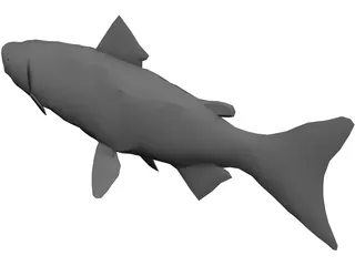 Salmon 3D Model