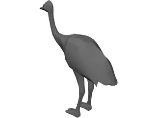 Ostrich 3D Model