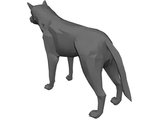 Coyote 3D Model