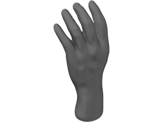 Hand 3D Model