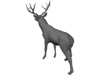 Stag 3D Model