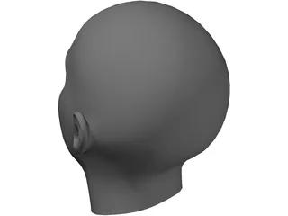 Human Head 3D Model