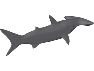 Shark 3D Model