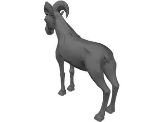 Ram 3D Model