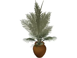 Large Potted House Plant 3D Model