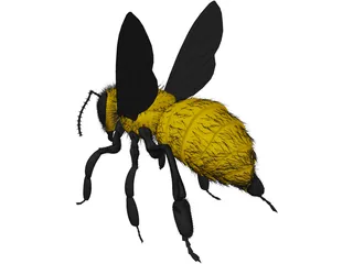 Bee with Fur 3D Model
