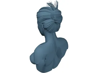 Female Torso Head 3D Model