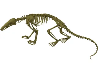 Skeleton Prehistoric 3D Model