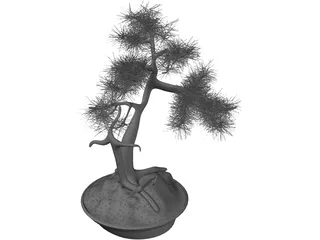 Bonsai Tree 3D Model