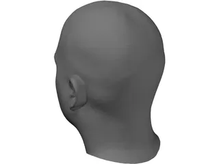 Human Male Scanned Head 3D Model