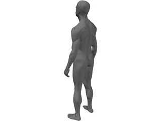 Man Human 3D Model