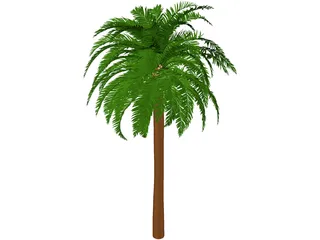 Coconut Tree 3D Model