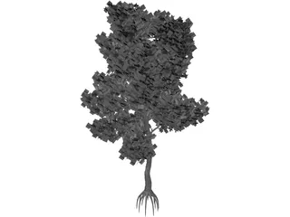 Pinus Coulteri Tree 3D Model