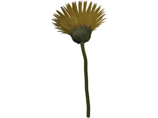 Sunflower 3D Model