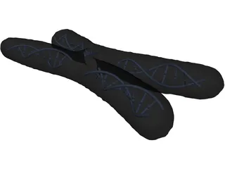 Human Chromosome 3D Model