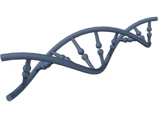 DNA 3D Model