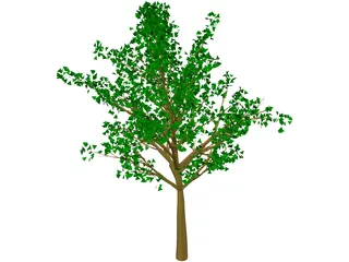 Tree 3D Model