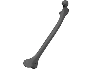 Femur Bone 3D Model