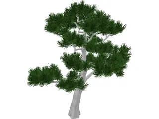 Pine Tree 3D Model