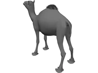 Camel 3D Model