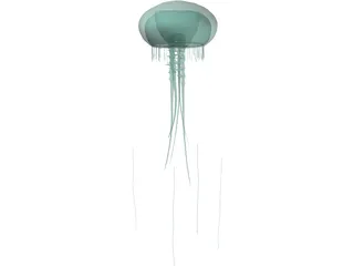 Jellyfish 3D Model