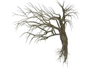 Dry Old Tree 3D Model