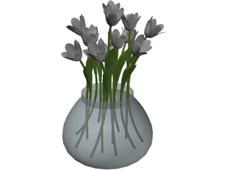 Flower White 3D Model