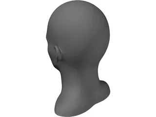 Human Head and Neck 3D Model