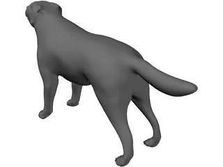 Dog 3D Model