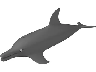 Dolphin 3D Model