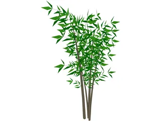 Bamboo Tree 3D Model