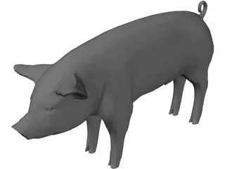 Pig 3D Model