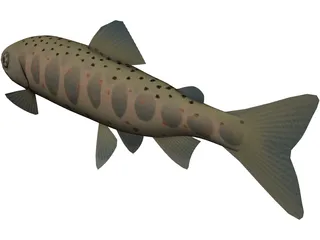 Amago 3D Model