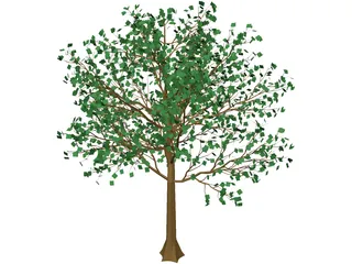 Arboli Tree 3D Model