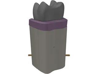 Molar Cutaway 3D Model