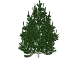 Pine Tree 3D Model