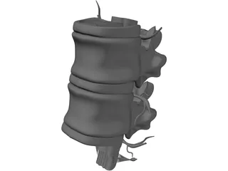 Lumbar Vertebrae 3D Model