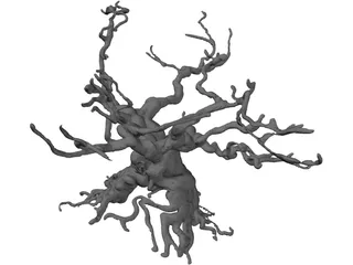 Gnarled Tree 3D Model