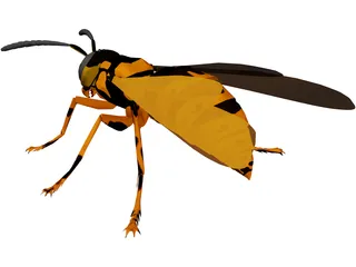 Wasp 3D Model