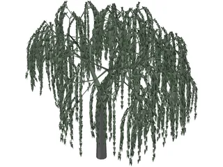 Willow Tree 3D Model