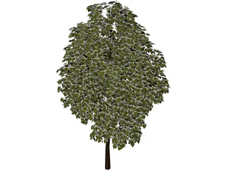 Pine Wood Tree 3D Model