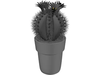 Cactus Pottet Round 3D Model