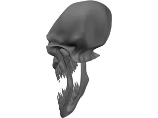 Monster Skull 3D Model