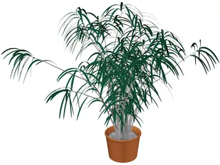 Indoor Plant 3D Model