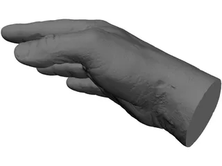 Right Hand Male 3D Model