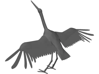 Ciconia Stork 3D Model