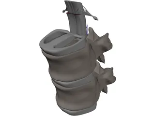 Vertebra 3D Model